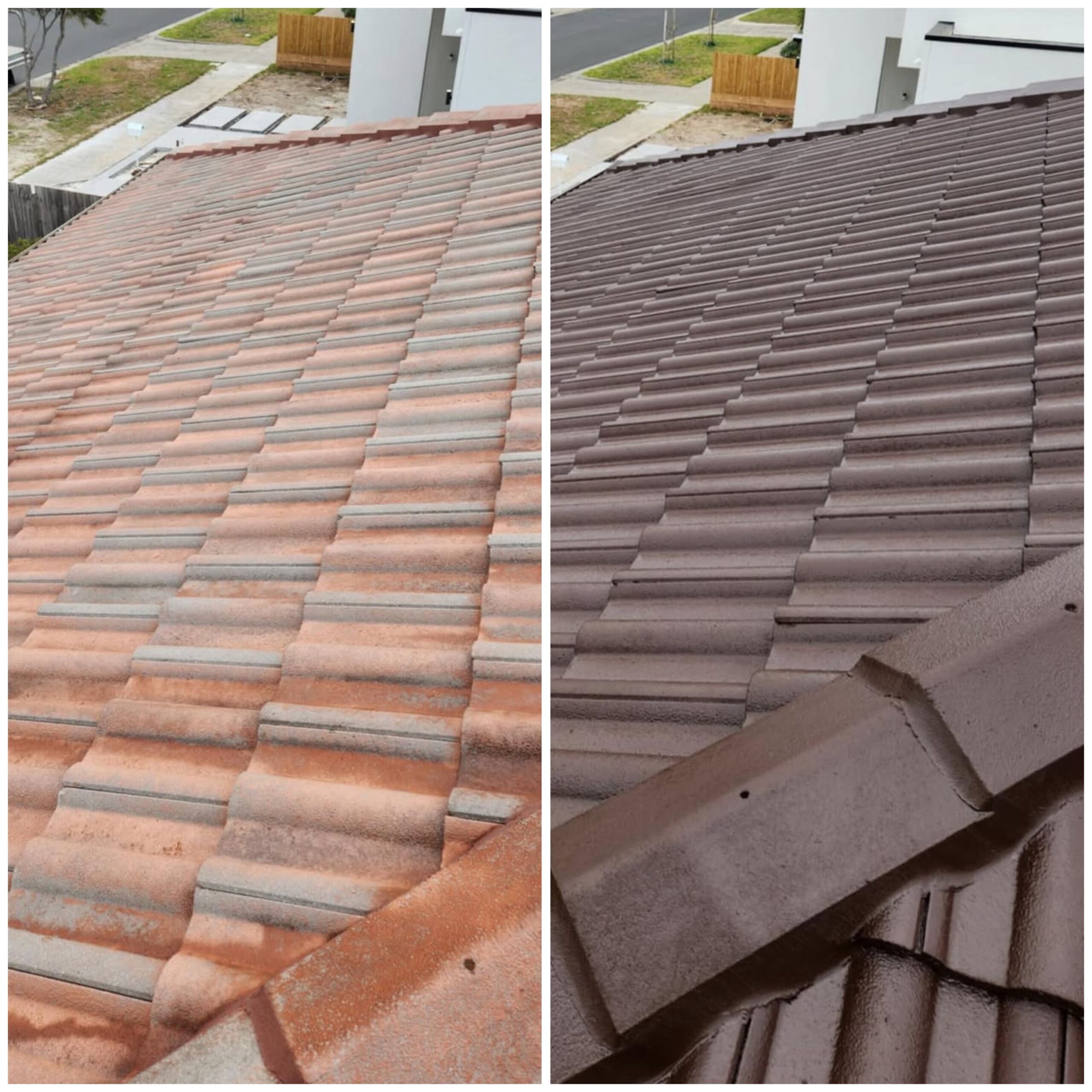 IMG_2167-scaled Enhanced Paint and Roof Repairs