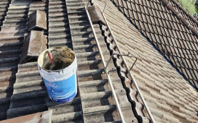 Roof Repair or Restoration – Which Is Best for Your Home?