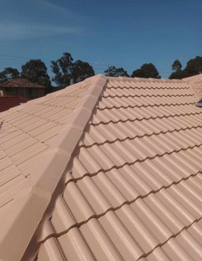 Roof Restoration and Roof Repair in Melbourne - Enhanced Paint and Roof Restoration