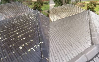Signs of a Leaking Roof