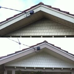 Fascia & Scotia