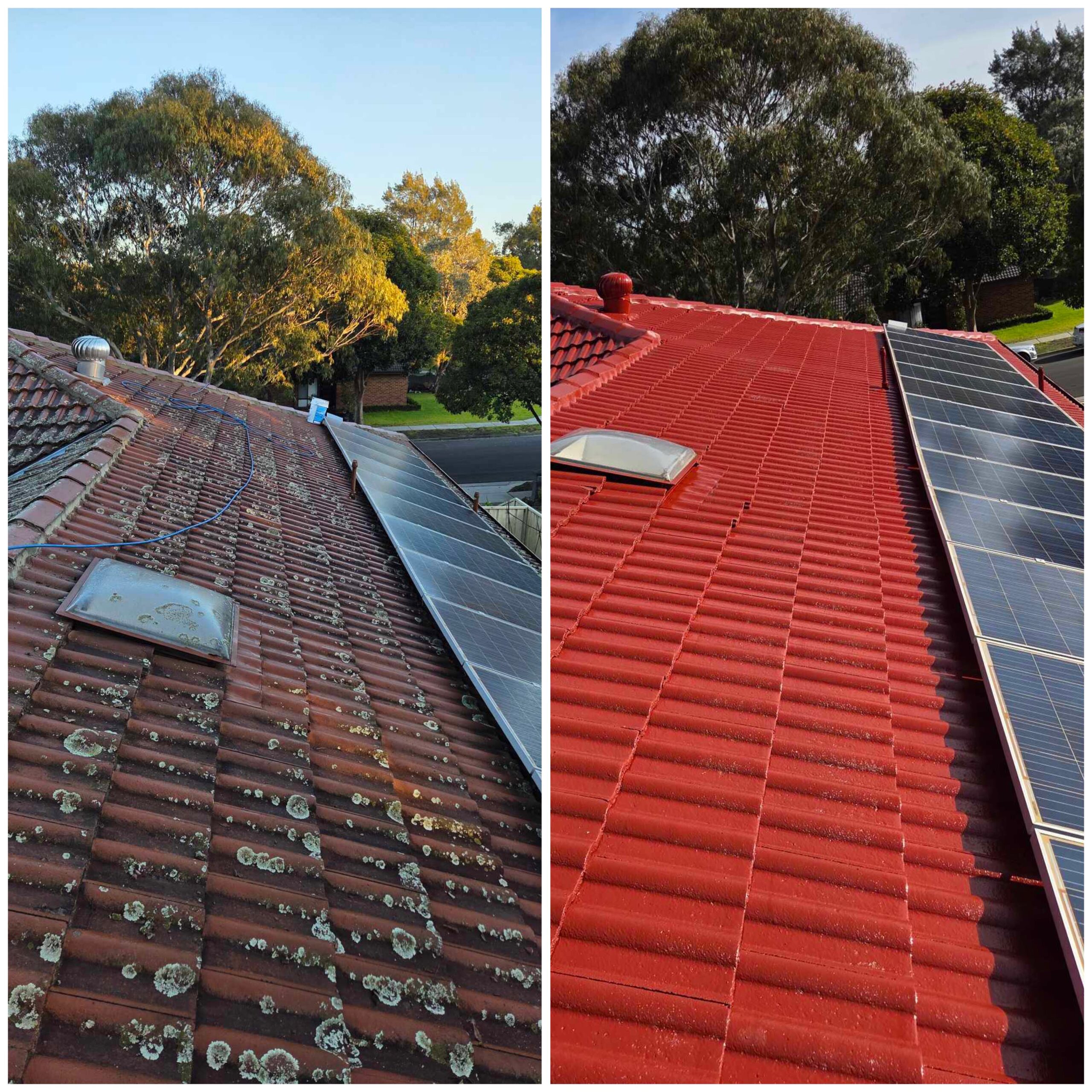 two-scaled Enhanced Paint and Roof Repairs