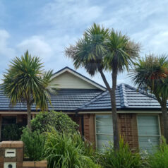 full roof restoration, roof repairs, near me