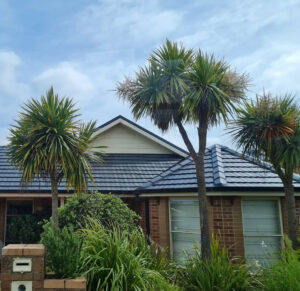 full roof restoration, roof repairs, near me