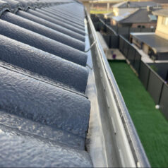 gutter cleaning