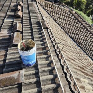 Roof Repair