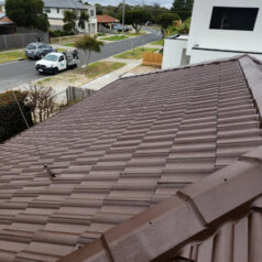 brown after