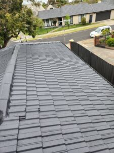roof restoration Dromana, painted roof in Dromana 
