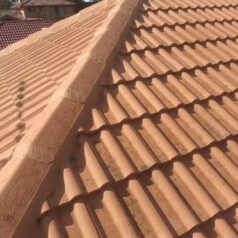 roof painting